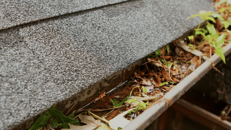 Damaged Gutters