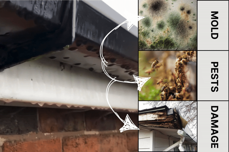 Homeowner Problem